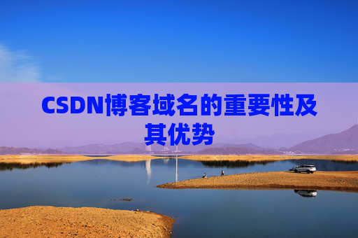 CSDN博客域名的重要性及其优势